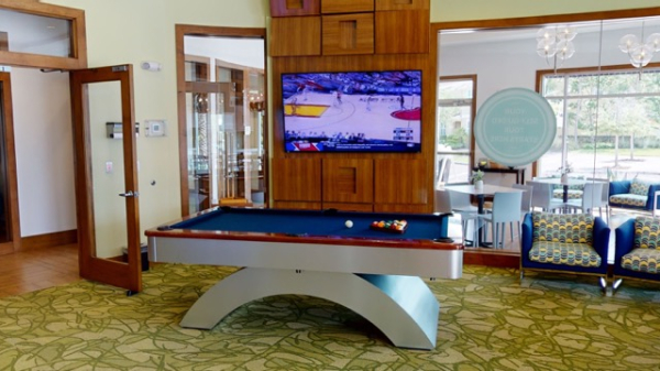 Pool table and television